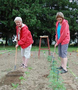 Sisters enjoying gardening together